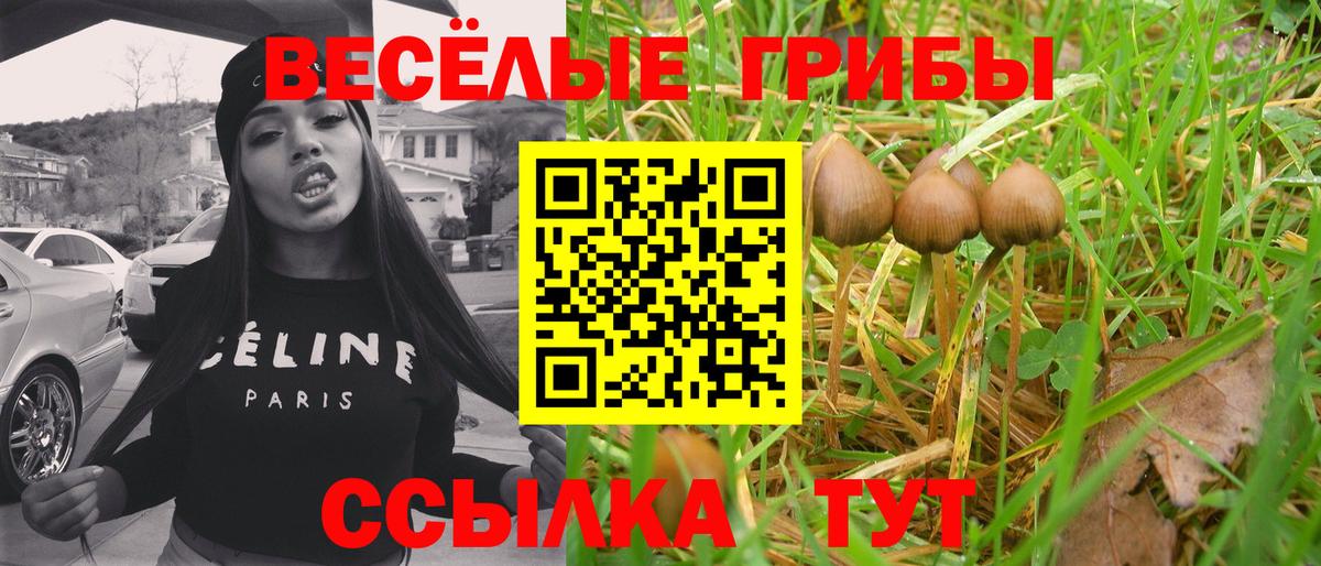 Псилоцибиновые грибы мицелий  Вход с VPN  как найти   Изобильный  Галлюциногенные грибы GOLDEN TEACHER 